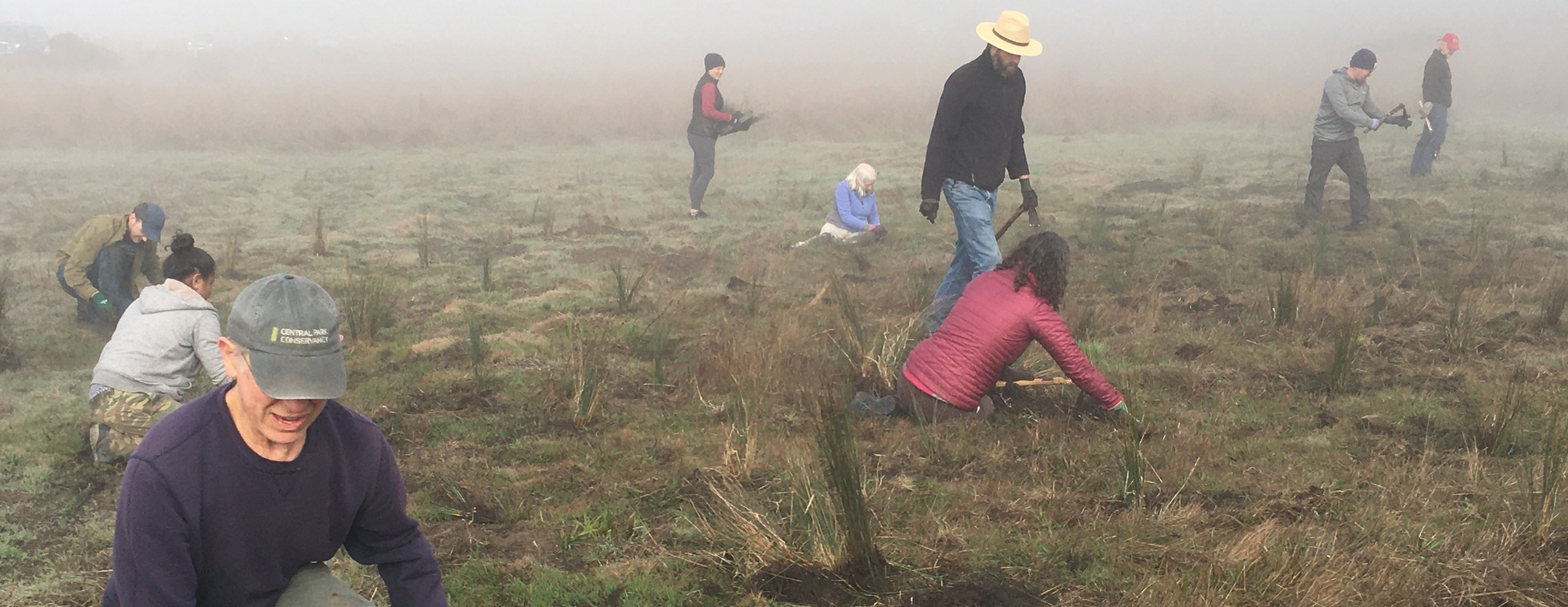 Volunteer Stewardship Day